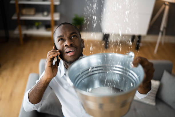 Best Carpet water damage restoration  in Southwest Sandhill, TX