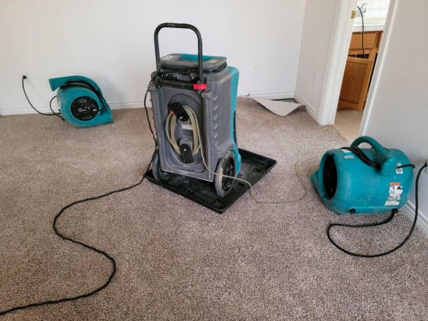 Best Mold removal after water damage  in Southwest Sandhill, TX