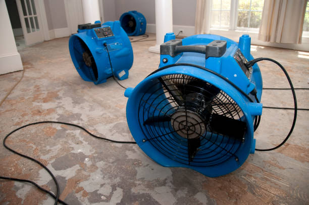 Best Basement water damage restoration  in Southwest Sandhill, TX