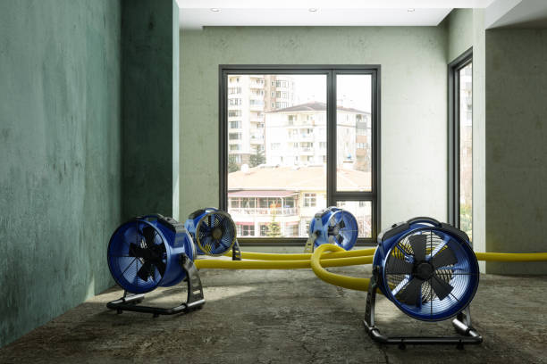 Best Commercial water damage restoration  in Southwest Sandhill, TX